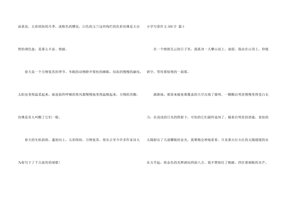 小学写景300字四篇_第3页