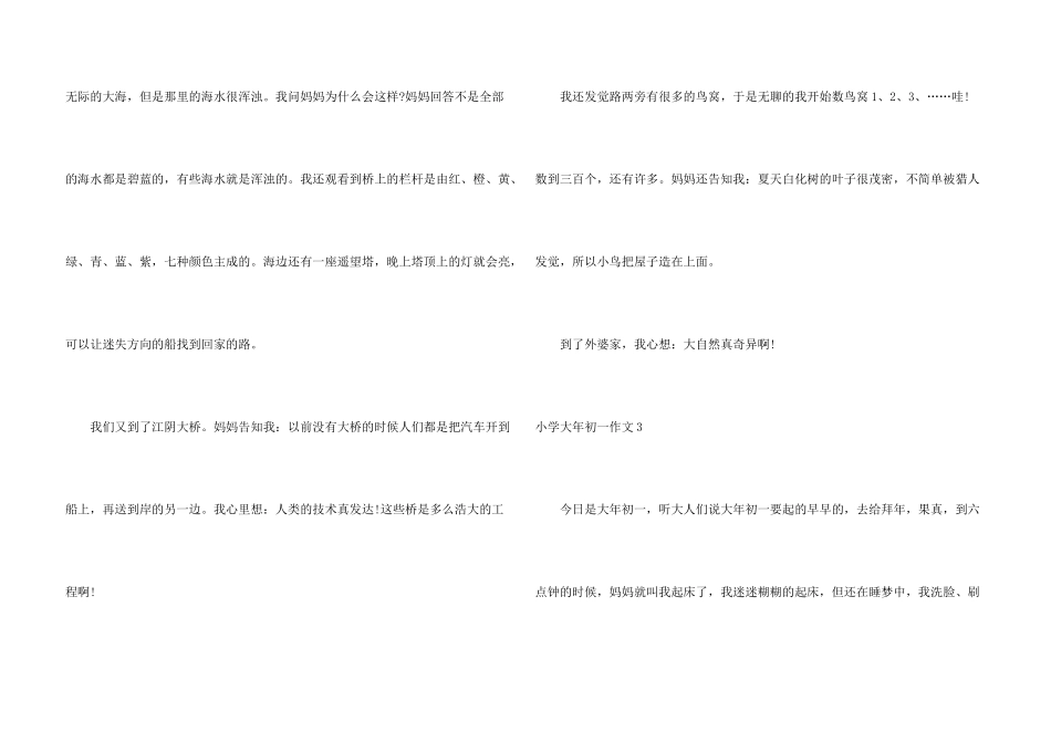 小学大年初一_第3页