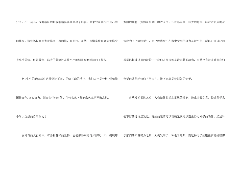 小学大自然的启示_第2页