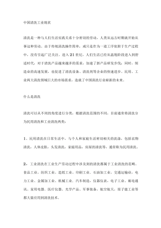 中国清洗行业现状报告