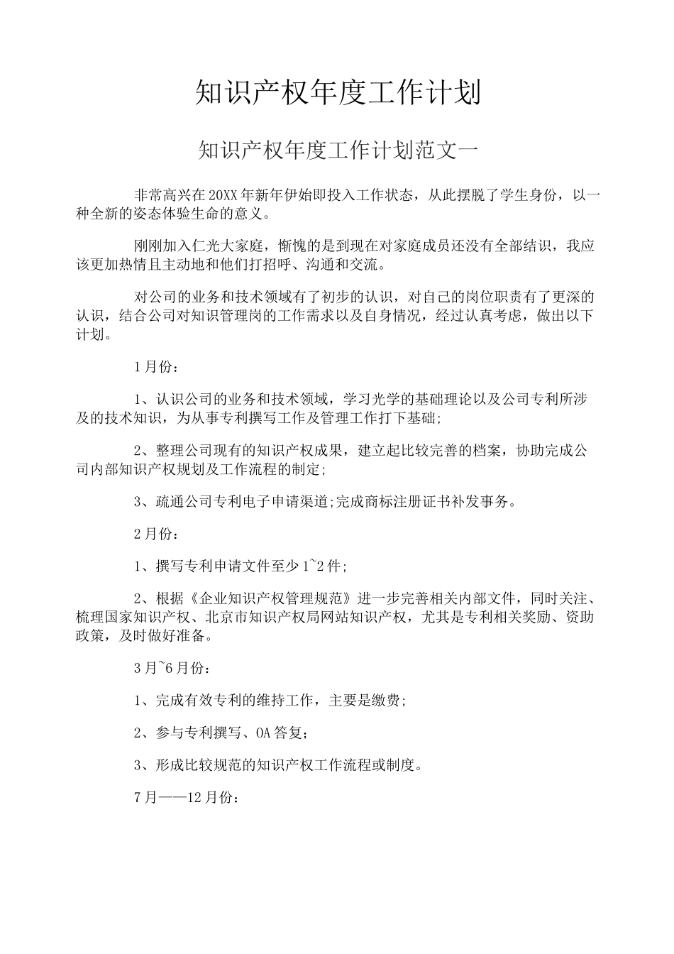 知识产权年度工作计划_第1页