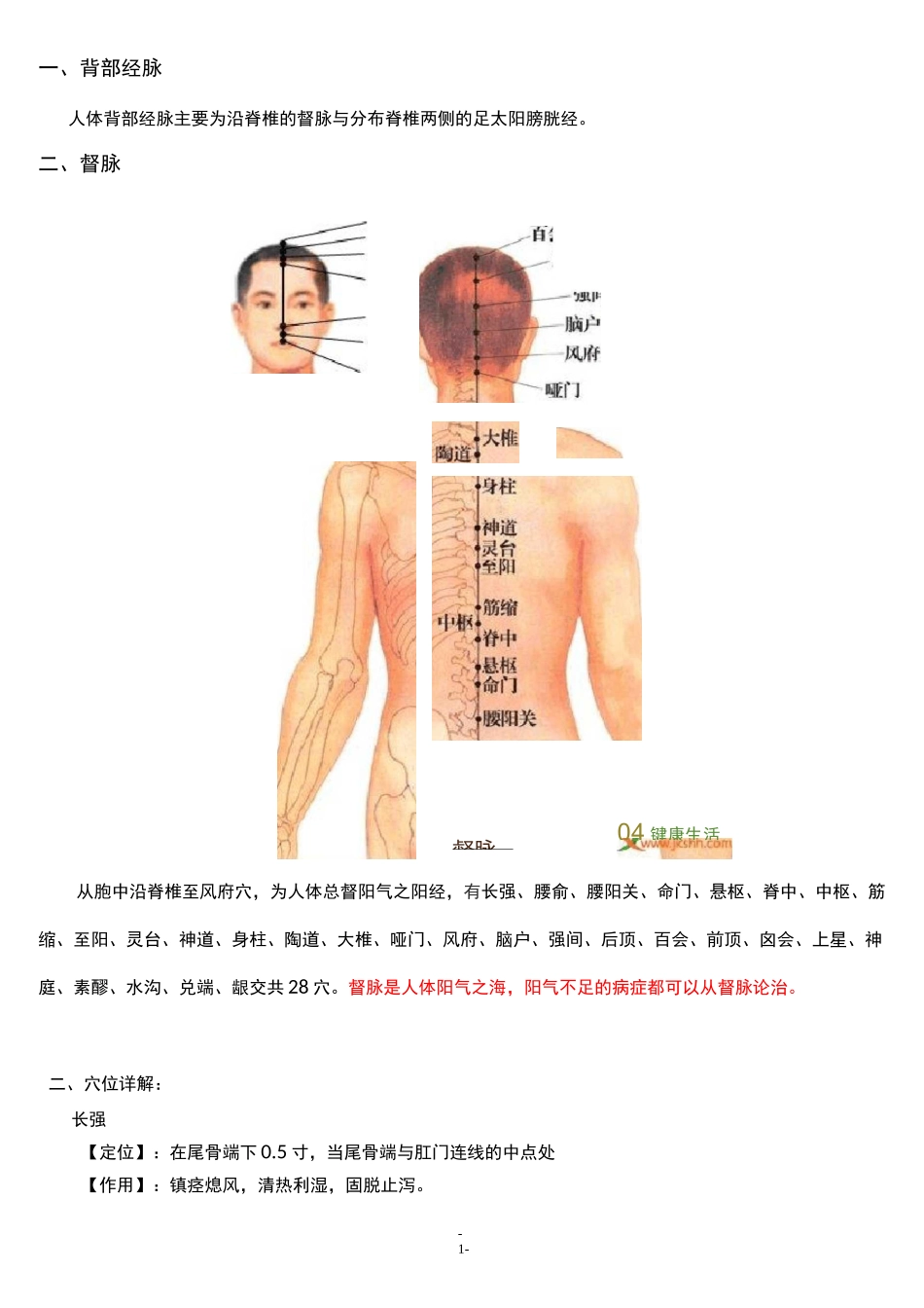 -人体背部经脉穴位_第1页