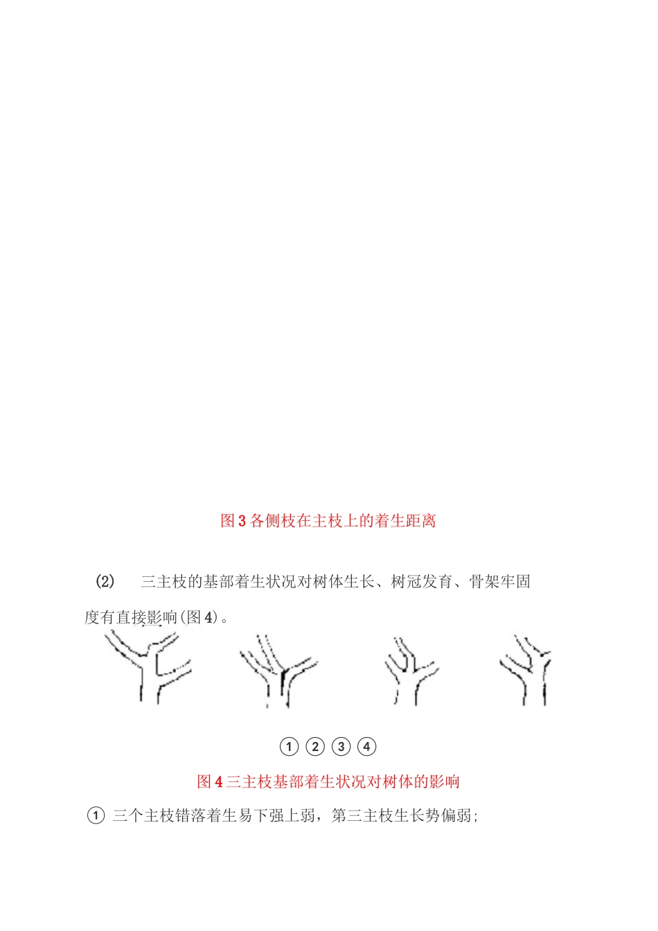 桃树自然开心形整形修剪过程图解_第3页