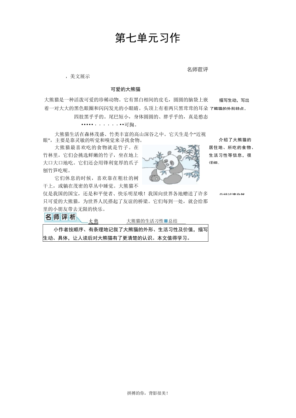部编版小学语文三年级下册第七单元习作《国宝大熊猫》优秀例文及点评_第1页
