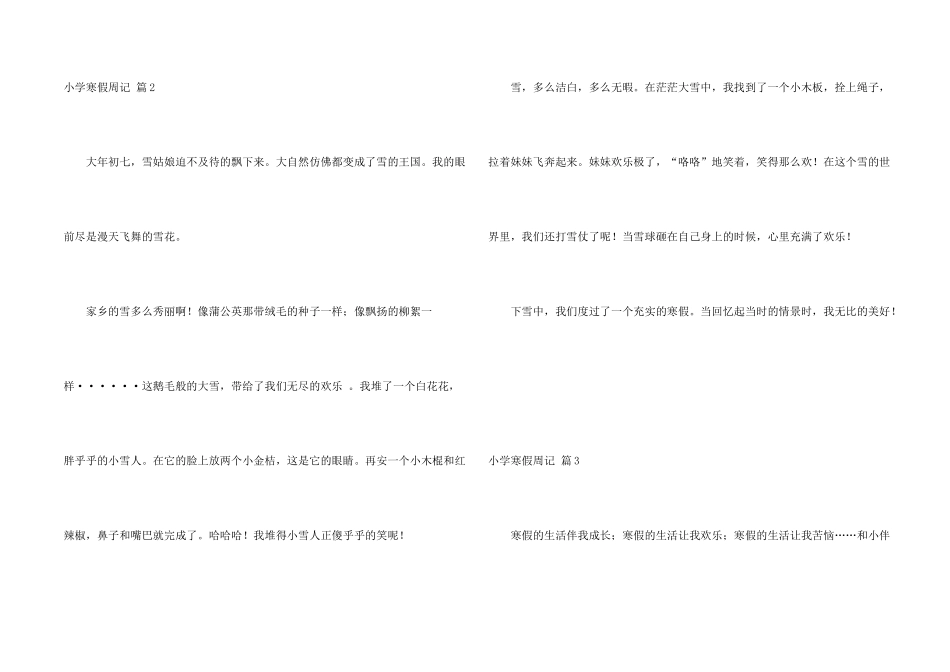 小学寒假周记模板汇总九篇_第2页