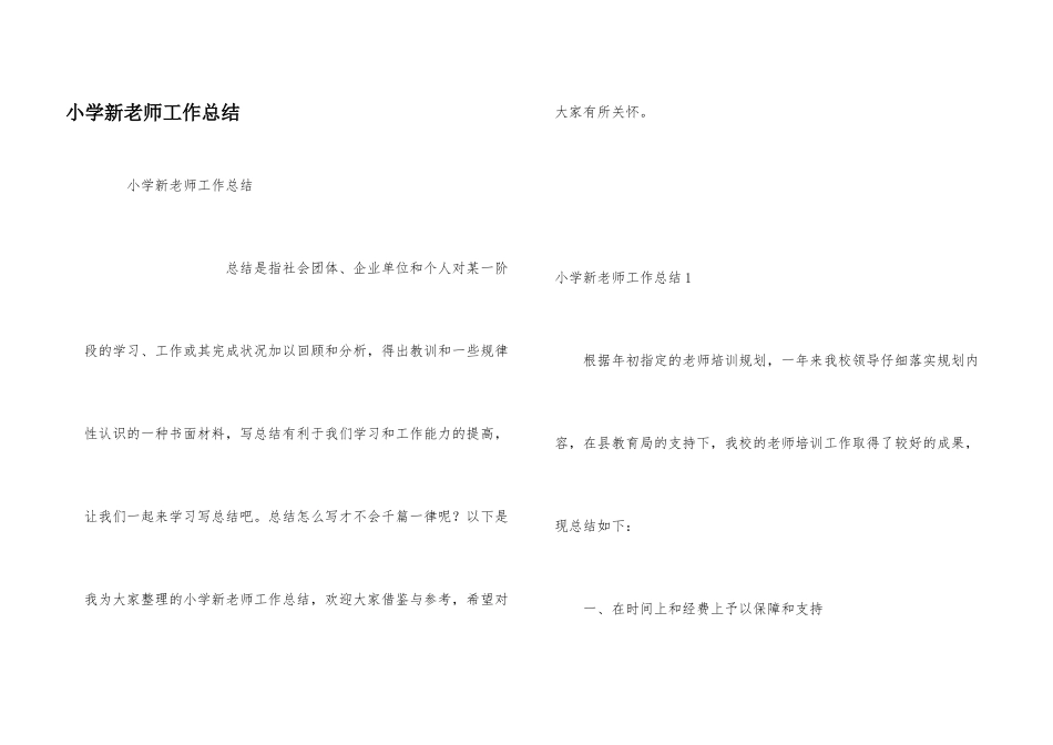 小学新教师工作总结_第1页