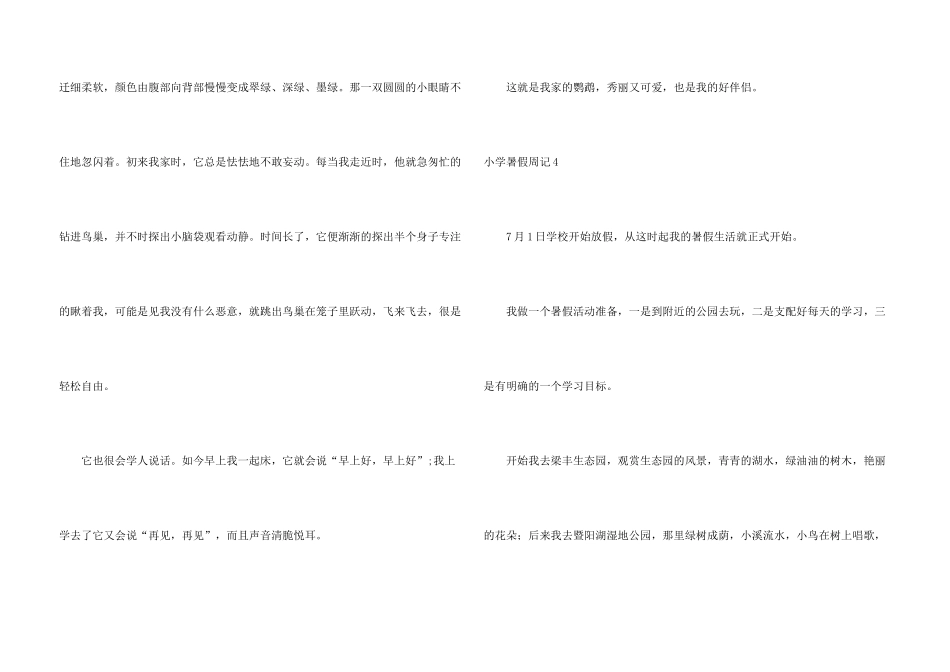 小学暑假周记(15篇)_第3页