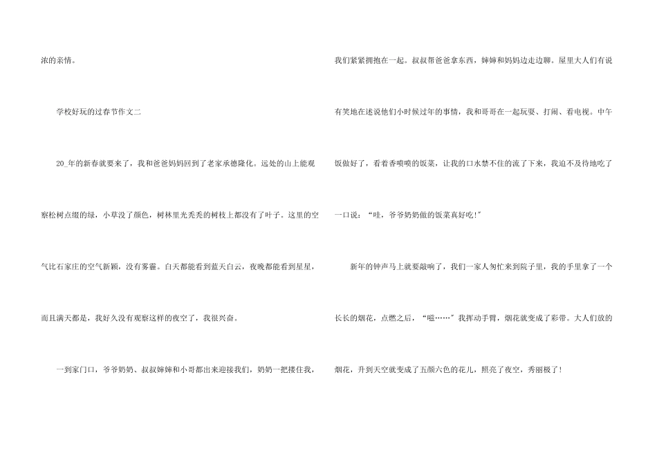 小学有趣的过春节600字五篇_第3页
