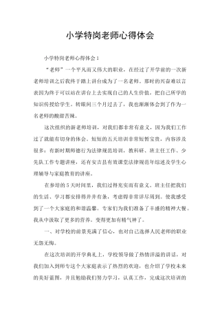 小学特岗教师心得体会