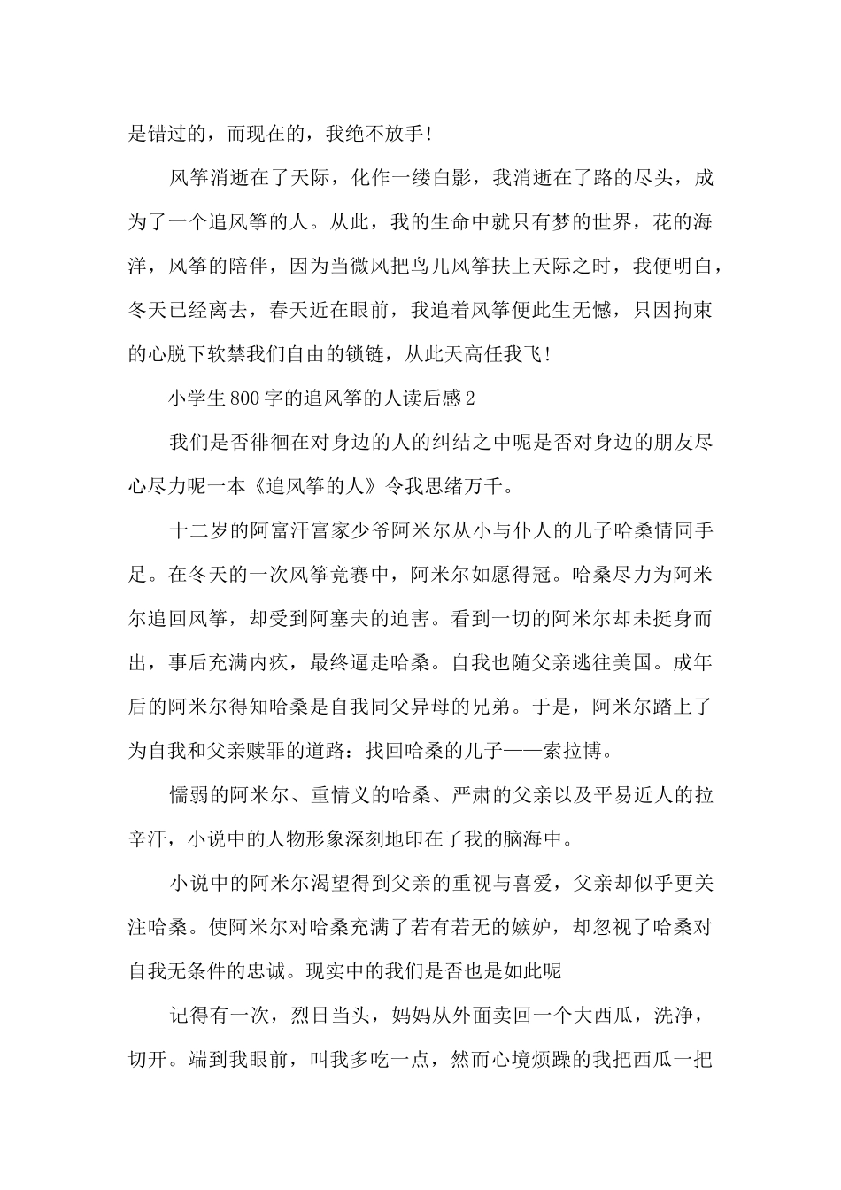 小学生800字的追风筝的人读后感范文_第3页
