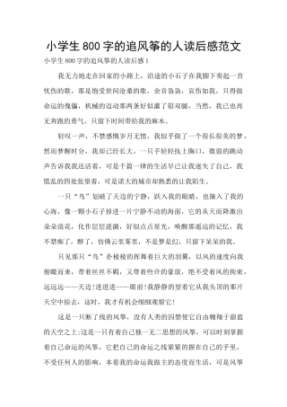 小学生800字的追风筝的人读后感范文