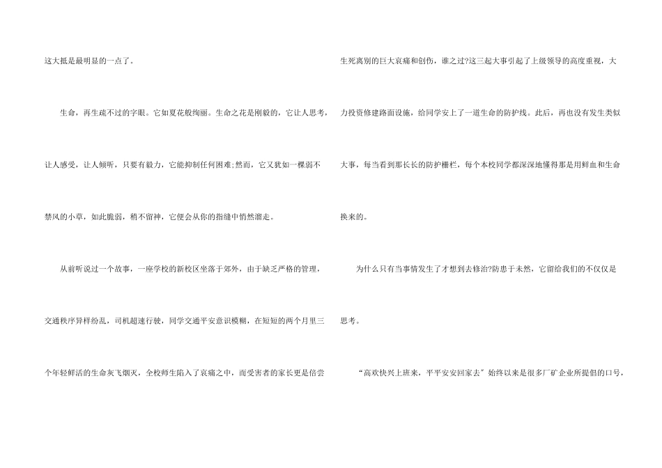 小学生交通安全演讲稿_第2页