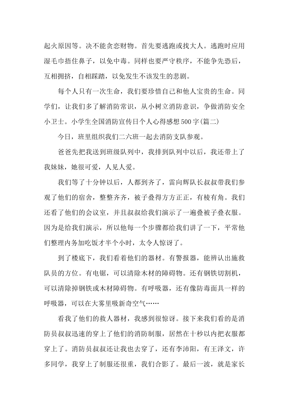 小学生全国消防宣传日个人心得感想500字_第2页