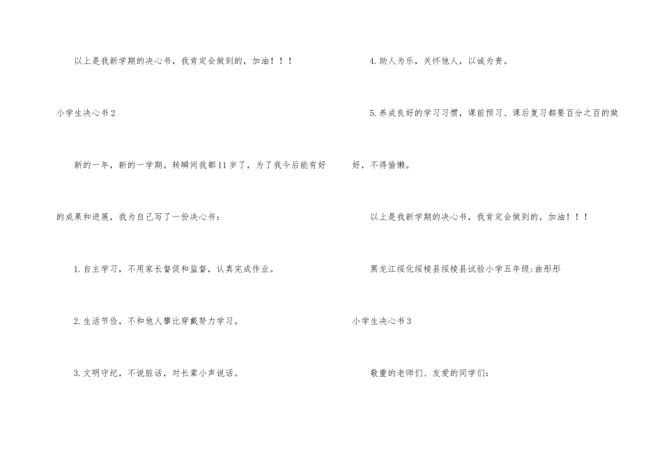 小学生决心书(15篇)_第2页