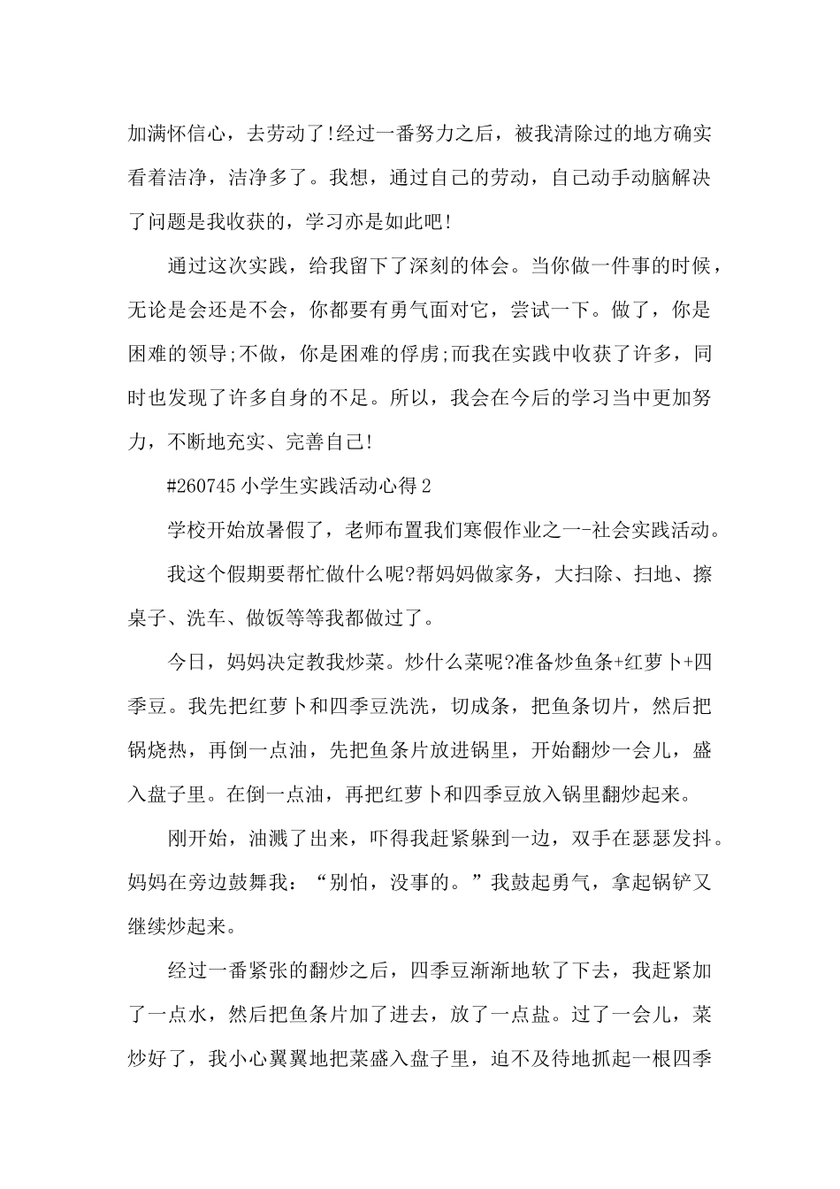 小学生实践活动心得5篇_第2页