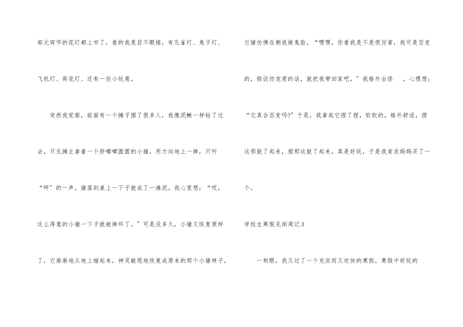 小学生寒假见闻周记_第3页