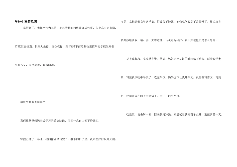 小学生寒假见闻_第1页