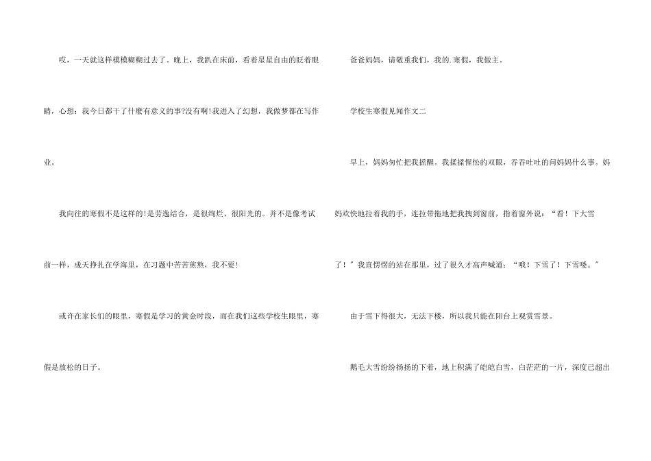 小学生寒假见闻_第2页