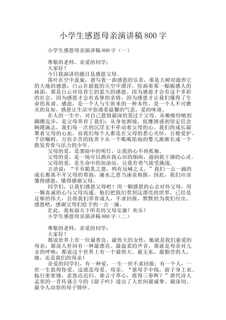 小学生感恩母亲演讲稿800字