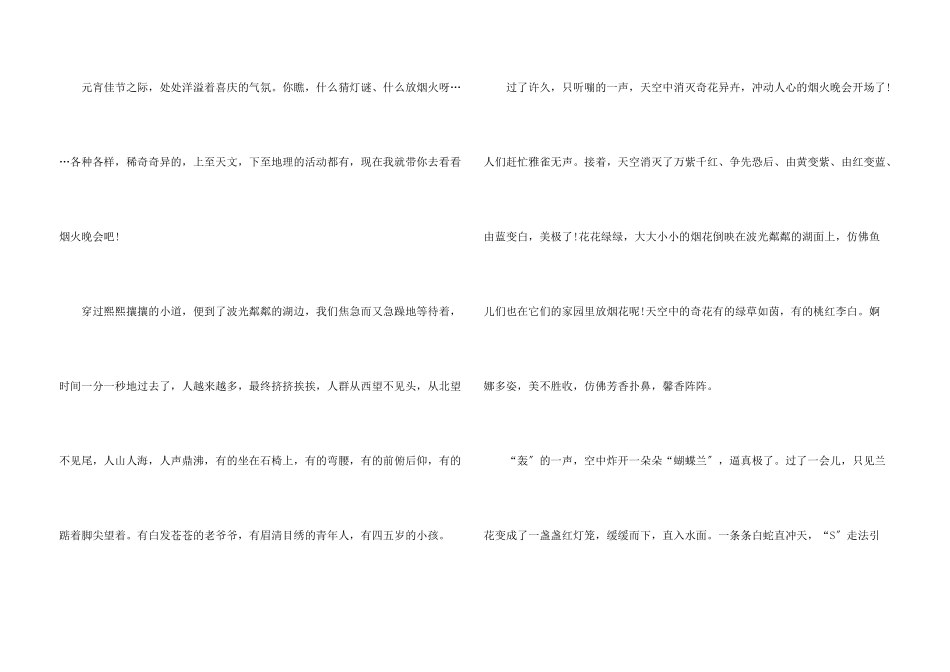 小学生描写2024年元宵节的_第3页