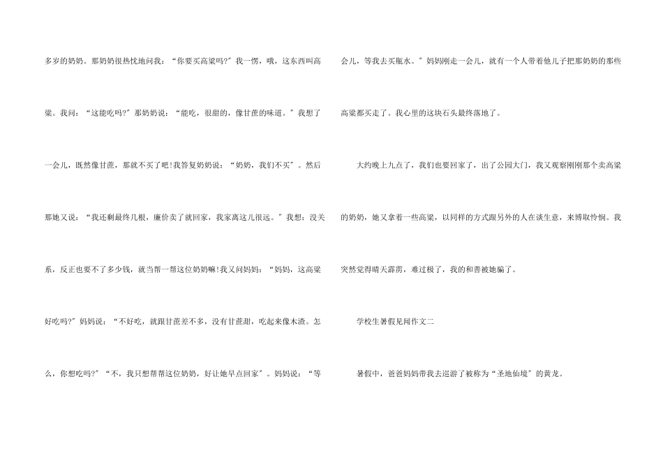 小学生暑假见闻2024_第2页