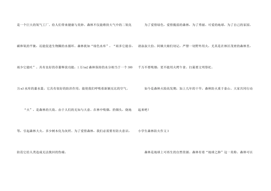 小学生森林防火_第3页
