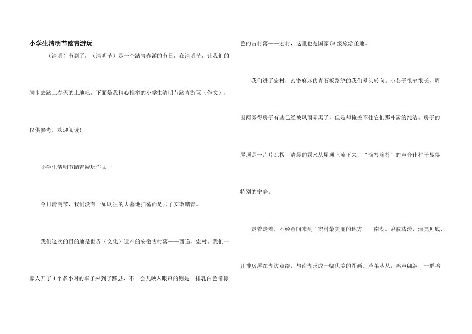 小学生清明节踏青游玩_第1页