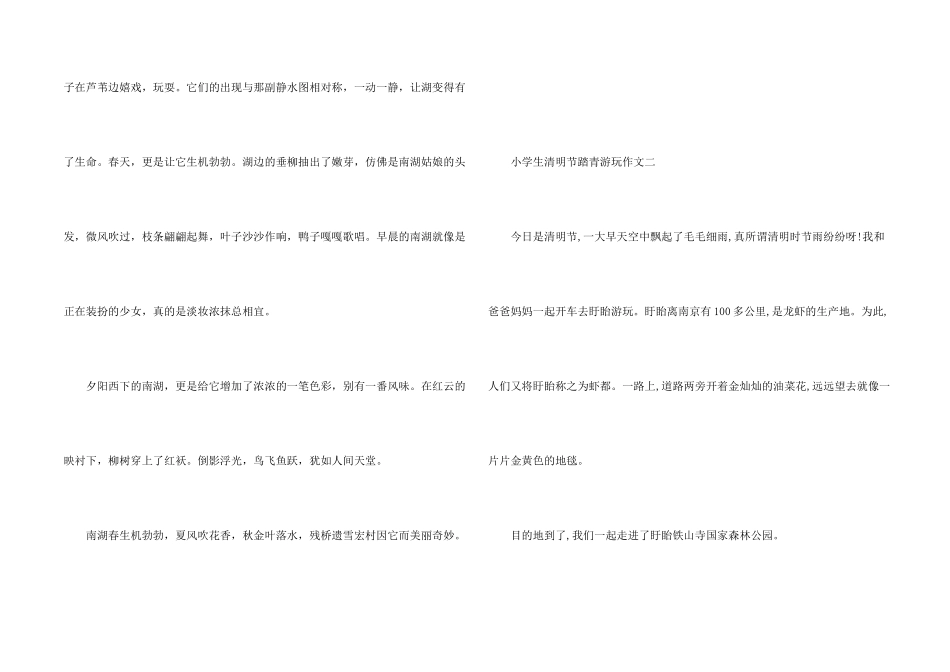 小学生清明节踏青游玩_第2页