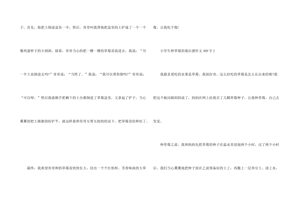 小学生种草莓的观后感400字_第2页
