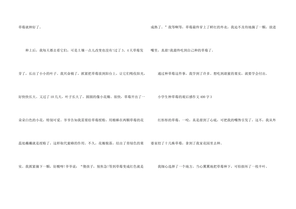 小学生种草莓的观后感400字_第3页