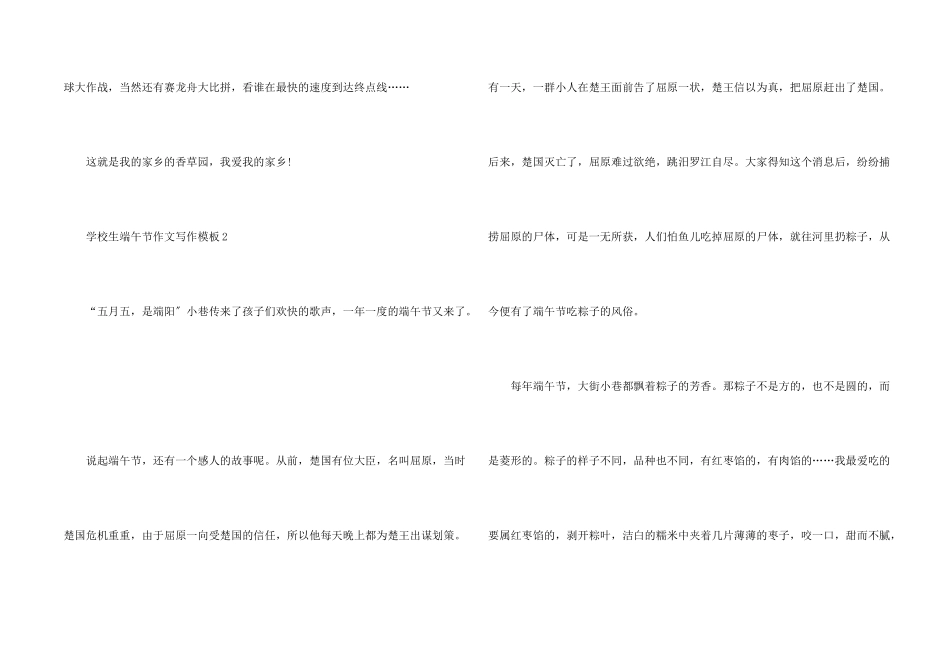 小学生端午节写作模板3篇_第2页
