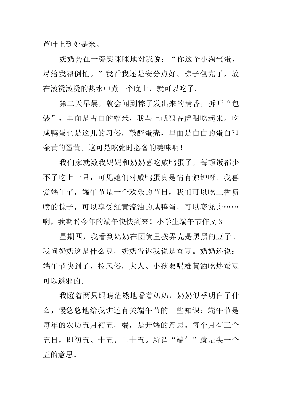 小学生端午节作文_第3页