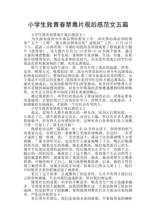 小学生致青春禁毒片观后感范文五篇