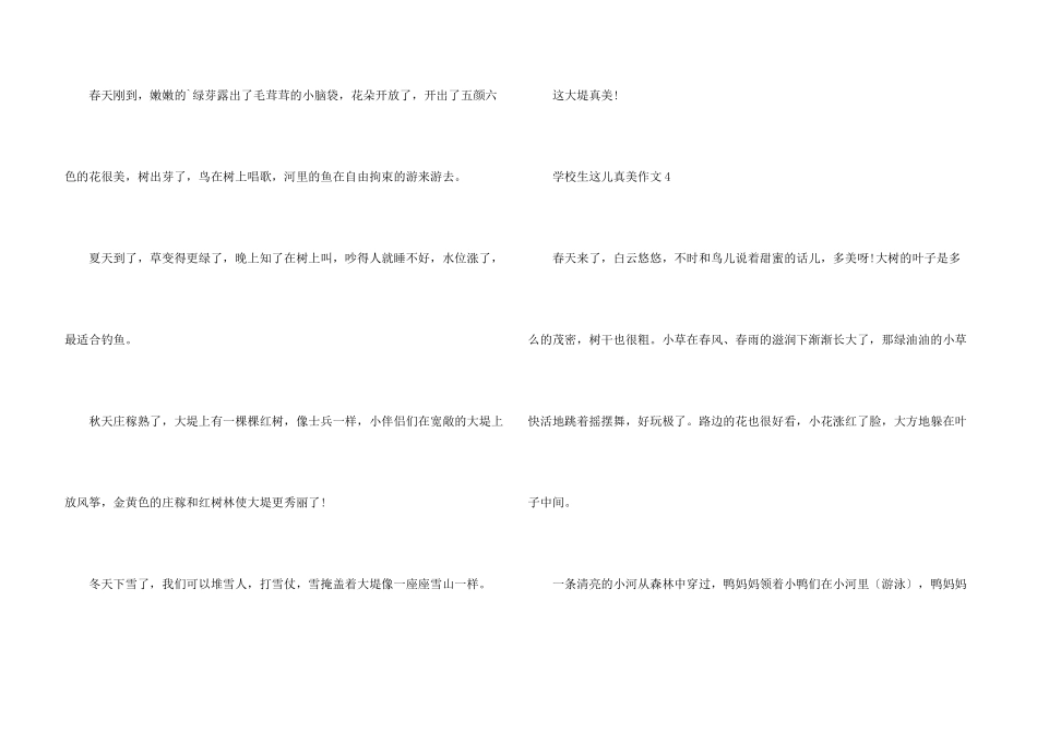 小学生这儿真美十篇_第3页