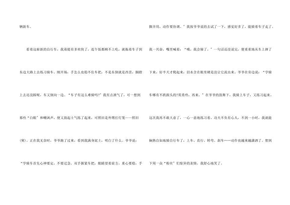 小学生那次玩的真高兴_第2页