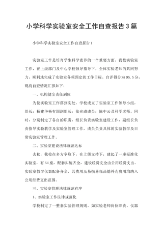 小学科学实验室安全工作自查报告3篇