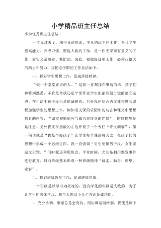 小学精品班主任总结