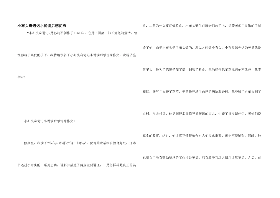 小布头奇遇记小说读后感优秀_第1页