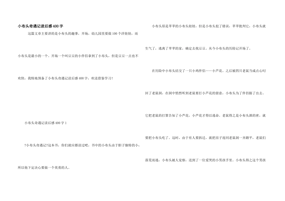 小布头奇遇记读后感400字_第1页