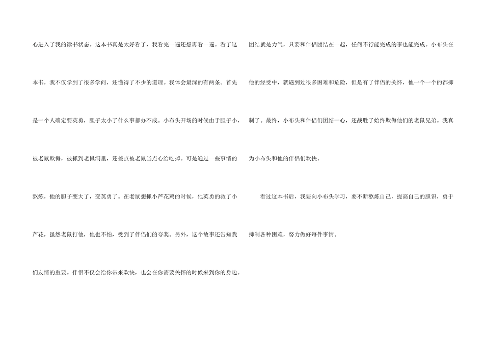 小布头历险记读后感_第2页