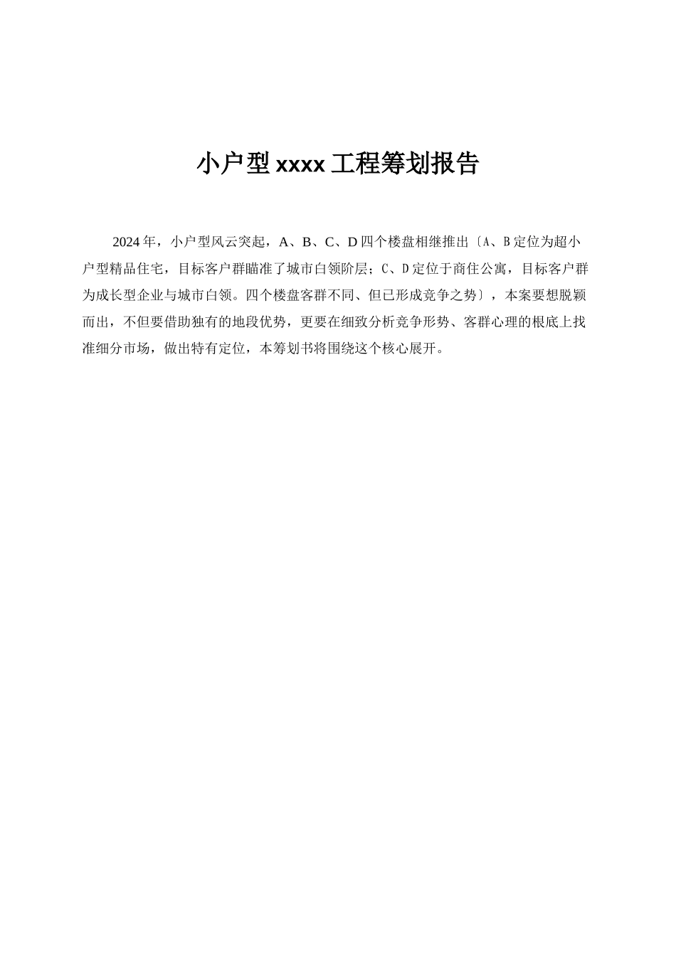 小户型某某项目策划报告情况_第1页