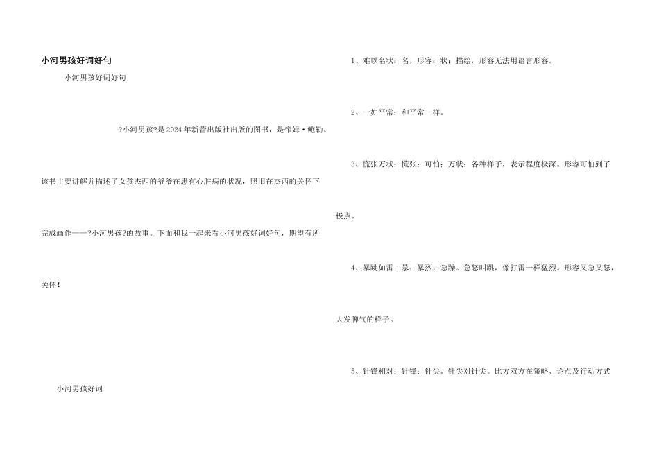 小河男孩好词好句_第1页