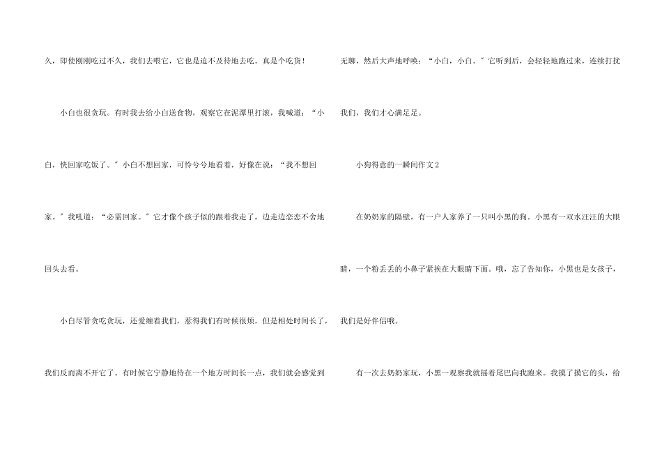 小狗可爱的一瞬间_第2页