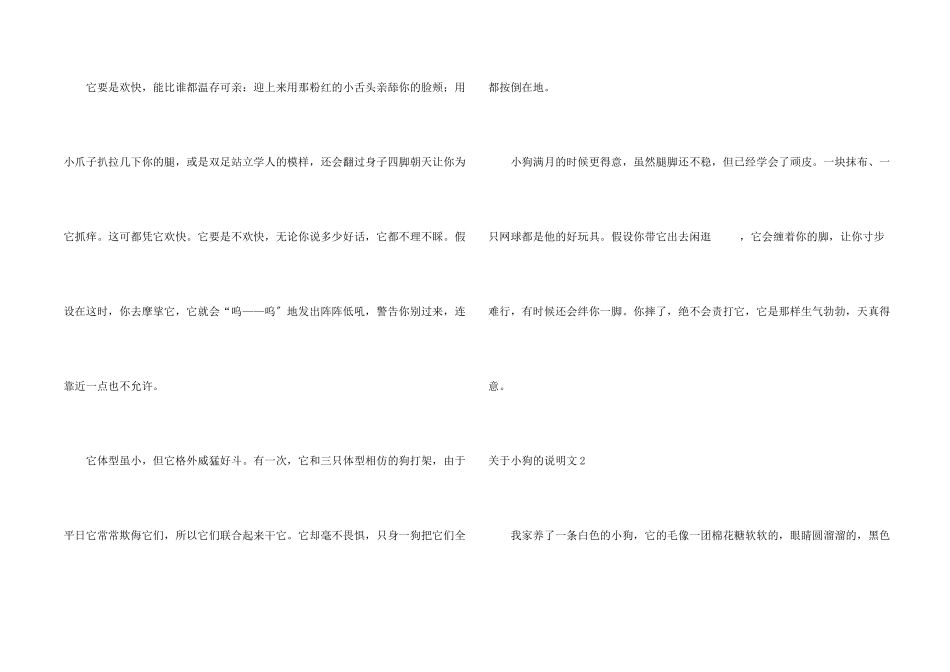 小狗的说明文_第2页