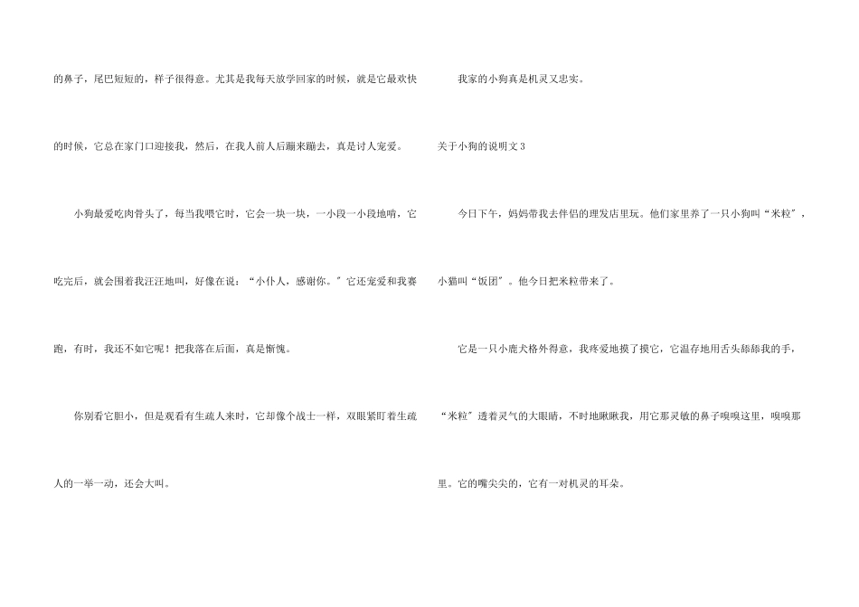 小狗的说明文_第3页