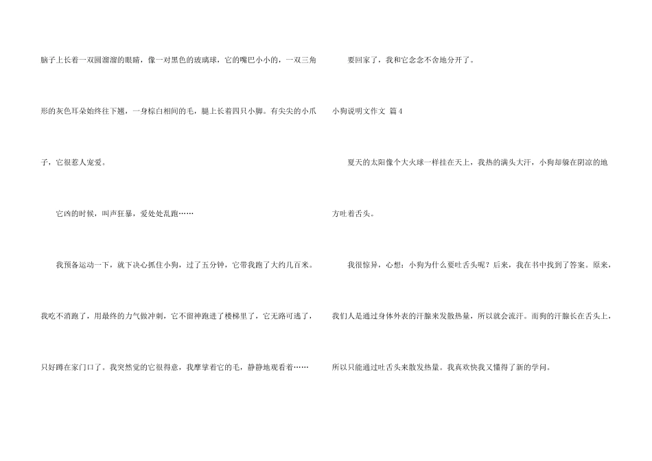 小狗说明文合集5篇_第3页