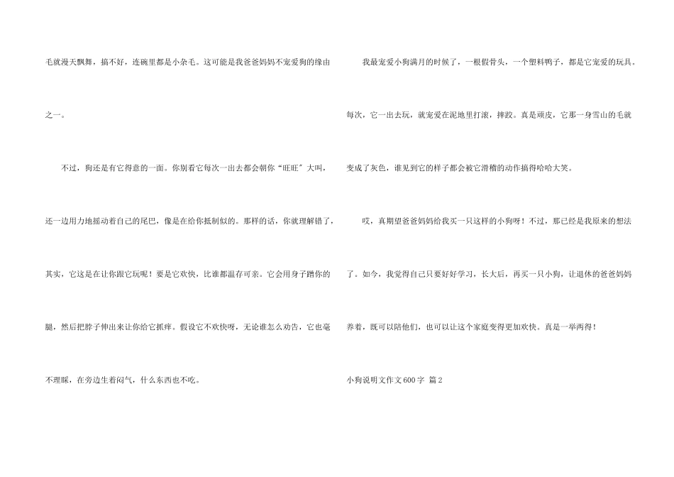 小狗说明文600字5篇_第2页