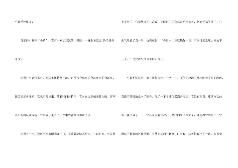 小猫小学集合15篇_第3页