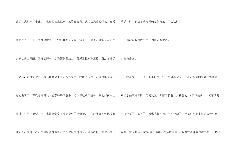 小白兔汇编15篇_第2页