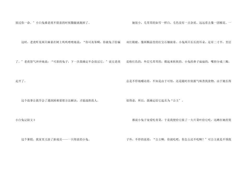小白兔记叙文_第3页